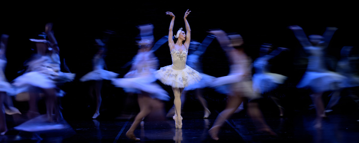 El lago de los cisnes